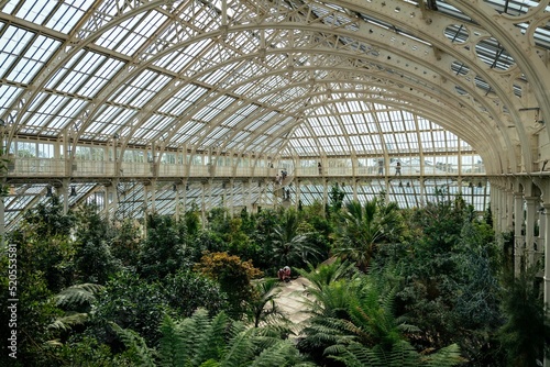 Wide-angle shot of interior view of an orangery with exotic plants