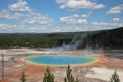 View of the Yellowstone national park in a sunny day