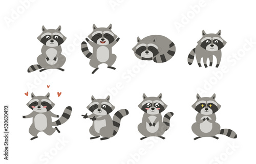 Raccoon in various poses with different emotions in flat vector illustration