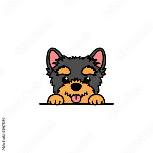 Cute yorkshire terrier dog cartoon, vector illustration