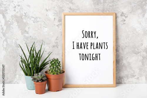 Sorry, I have plants tonight. Motivational pun quote on wood frame and house plants on white table against grey stone wall. Inspirational joke, humor phrase of the day