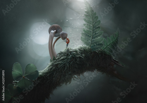 Fantasy fairy tale, deep dark dreamy elven forest, ladybug in magical enchanted fairy forest explore the world. Magic atmosphere, artistic mysterious nature background, inspiration magic