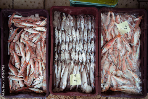 Fische im Fischmarkt