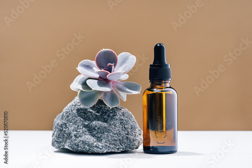 Natural medicine or aroma diffuser oil or beauty serum essence concept vial with dropper on table with stone rose plant and golden brown background. Face and body spa care concept