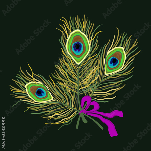 Vector bright illustration of three peacock feathers with purple ribbon on dark green background.