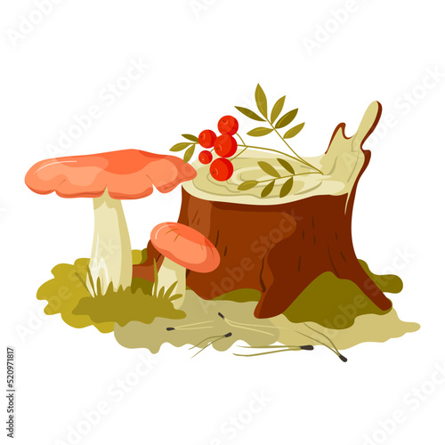 Russula, wild mushrooms in cartoon style.