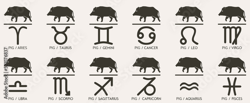 Vector Year of the pig boar swine hog Animal icons eastern annual horoscope and zodiac signs in one symbol 2031 2043 2055 2067 years