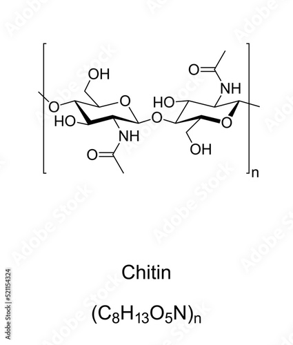 Chitin, chemical formula and structure. Long chain polymer of N-acetylglucosamine, 2nd most abundant polysaccharide in nature after cellulose. Primary component of cell walls in insect exoskeletons.