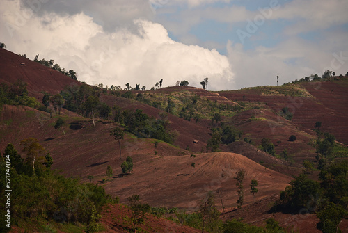 Planting ground of a new crop season on mountain slope after slash-and-burn land clearing. Forest lost and soil erosion form shifting cultivation in southeast asia.