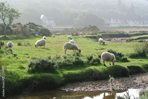 Isle of Arran, Scotland, United Kingdom