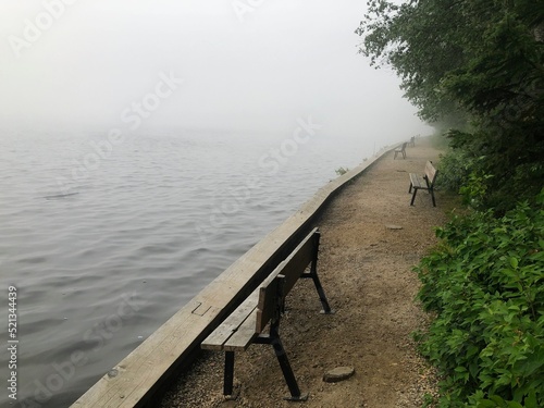 Empty benches overlooking McLeod lake, surrounded by forest, in Carson-Pegasus provincial park, Alberta, Canada