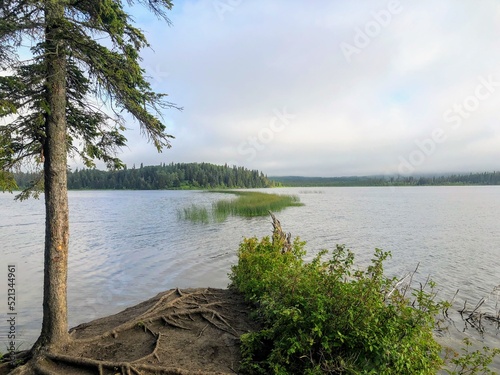 A beautiful morning view of the beautiful calm McLeod lake, surrounded by forest, in Carson-Pegasus provincial park, Alberta, Canada