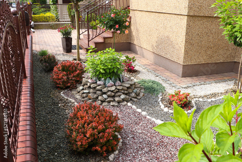 Beautiful gravel garden with different plants in yard