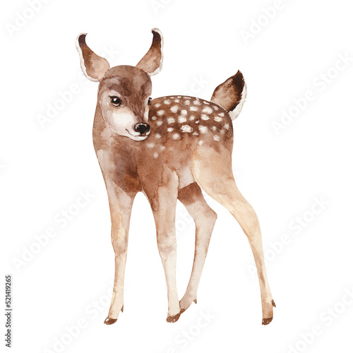 Watercolor baby deer isolated on white background. Cute woodland animal hand-painted illustration. Kids design