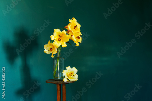 yellow lilly on dark green background