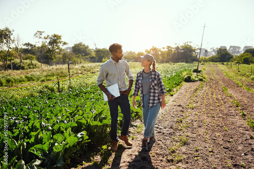 Agriculture, farming and diverse farmers walking and talking while working together on an organic and sustainable farm. Agronomist and partners in agribusiness looking happy during harvest season