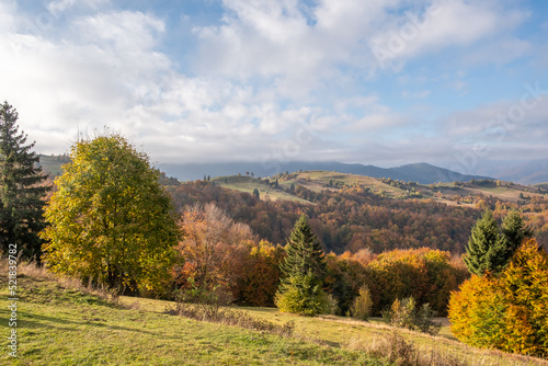 carpathian landscape in october. hills and mountain range in warm sunny weather with low clouds in the sky in autumn