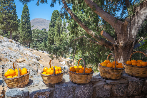 Straw baskets full of ripe oranges, Rhodes island, Greece, Europe.