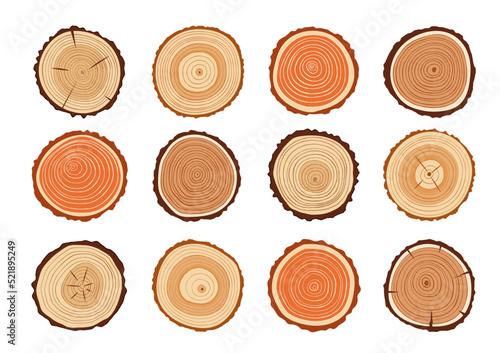 Tree trunks, wood cut with vector texture of annual rings. Cross section slices of wooden stump or log with brown bark, medullary rays and growth rings, timber, wood or lumber industry themes
