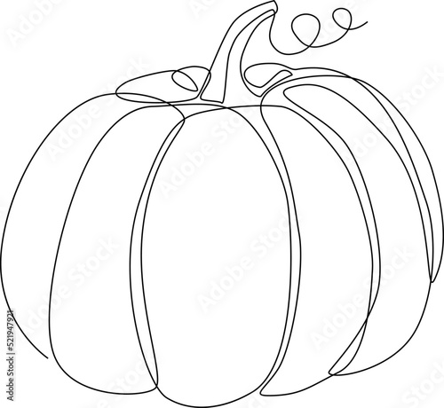 Line Drawing pumpkin autumn
