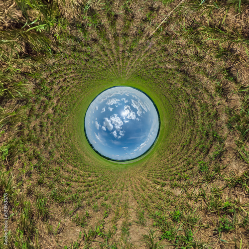 blue sphere little planet inside green grass field background. curvature of space