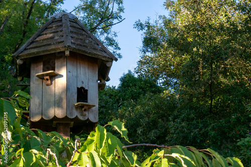 Dovecote nestled in green trees. A wooden dovecote dappled in early morning sunlight sits surrounded by shades of green. Small doorways with ledges for the birds to come and go. Pigeons and doves