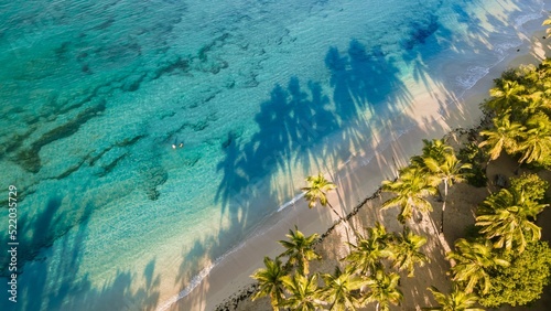 Trees shadow on the water