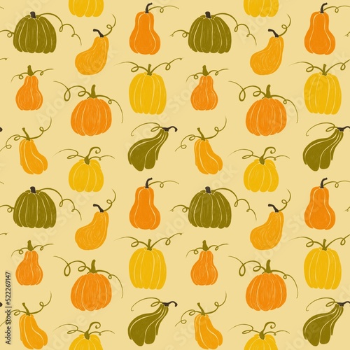 Seamless pattern with cute colored pumpkins on white background. Hand drawing. Elements for autumn decorative design, halloween invitation, harvest thanksgiving.