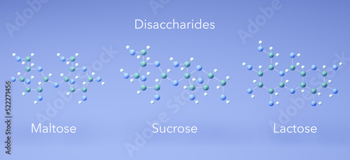 disaccharide - maltose, sucrose, lactose, molecular structures, 3d rendering, Structural Chemical Formula