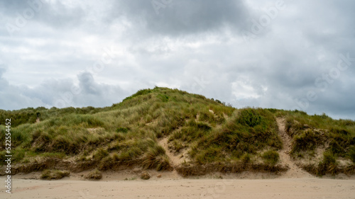Dune on the coast of North sea in Belgium 