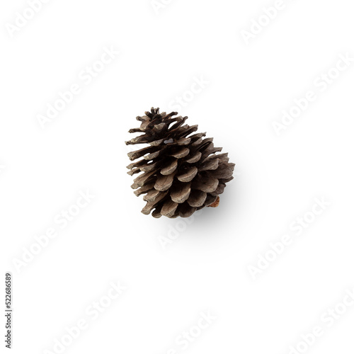 Pine cone cutout, Png file.