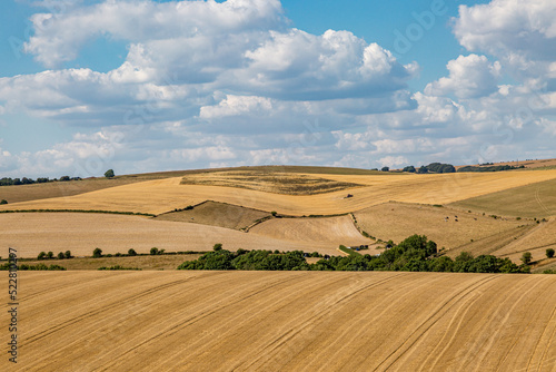Golden fields in the South Downs, during a hot, dry summer