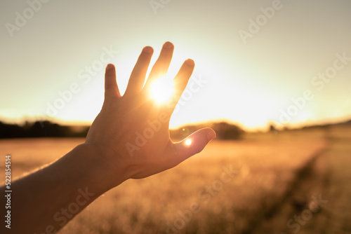 Persons hand in nature reaching out to touch the warm sun light. Spiritual, light, healing energy concept