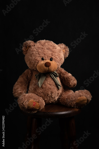 Teddy Bear