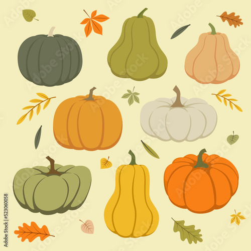 Vector set of colorful pumpkins and autumn leaves. Vector illustration on a light background in flat style.