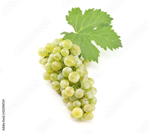Chardonnay grape with a vine leaf on white background.