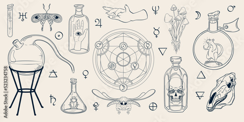 Alchemy set. Hand drawn set of alchemical bottles, circle and symbols. Magic vector set with test tube, glass flasks, jars, insects and skulls. Chemystry, sience, esoteric, occultism. Moth, mushroom
