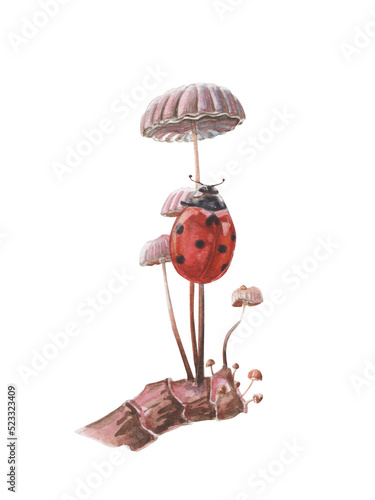 Watercolor pretty art of little red ladybug sitting on pink mushrooms. Forest natural illustration. 