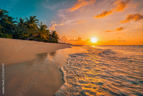 Beautiful panoramic sunset tropical paradise beach. Tranquil summer vacation or holiday landscape. Tropical sunset beach seaside palm calm sea panorama exotic nature view inspirational seascape scenic