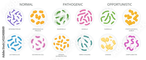 Cartoon bacteria, biological microorganism, good and bad microbiota. Microbes and bacteria, normal flora microorganism flat vector illustration set. Good and bad bacteria collection