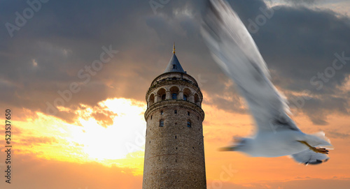 Galata Tower with seagull - Istanbul, Turkey