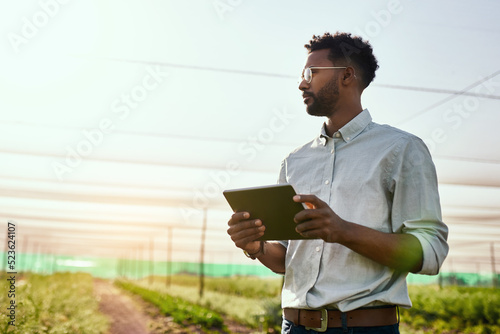 Thinking farmer with digital tablet checking sustainable farming growth, progress or preparing farm export order on tech. Serious man, gardener or greenhouse environmental scientist on a rural estate