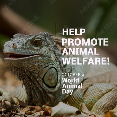 Composition of help promote animal welfare text over lizard