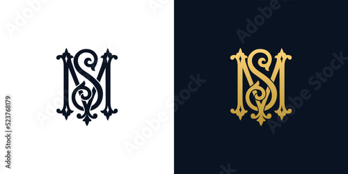 Decorative Vintage Initial letters MS monogram. Suitable for tattoo studio, salon, boutique, hotel, college, retro, interlock style