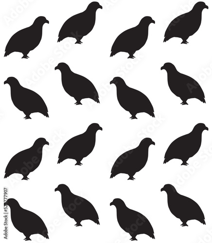 Vector seamless pattern of hand drawn doodle sketch partridge bird silhouette isolated on white background