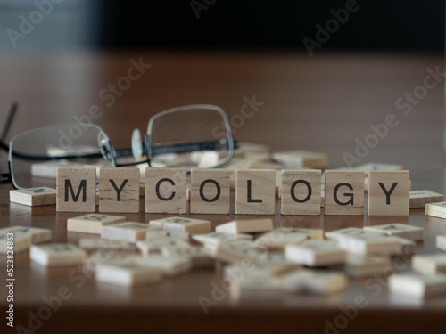 mycology word or concept represented by wooden letter tiles on a wooden table with glasses and a book
