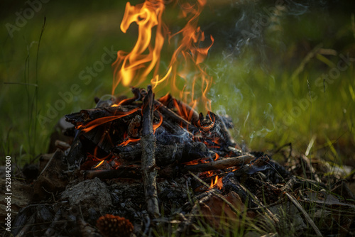 Close up of burning timber bonfire in summer forest..The concept of adventure, travel, tourism, camping, survival and evacuation.