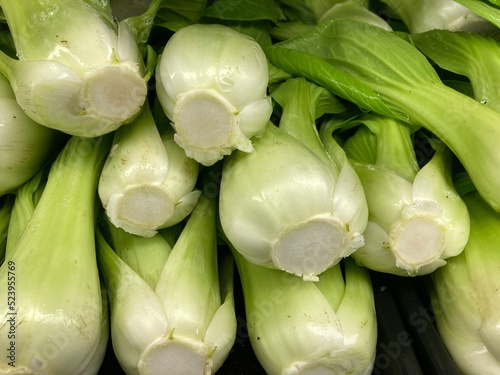 Fresh bok choy vegetable on display in the vegetable section of a grocery store