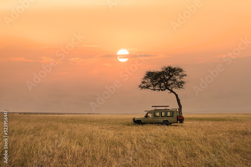 savanna grassland in africa during sunset with safari tourist travel car by tree