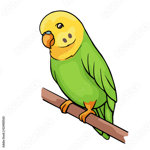 Cute cartoon budgie isolated on white background. Vector illustration of small green parrot. 